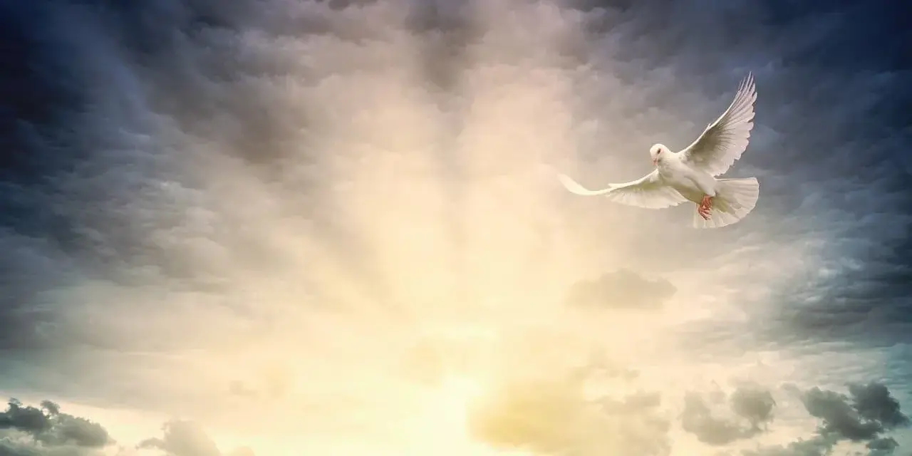 Weiße Taube fliegt durch dramatische Wolken, ein Symbol für Ostern, Himmelfahrt und Pfingsten.