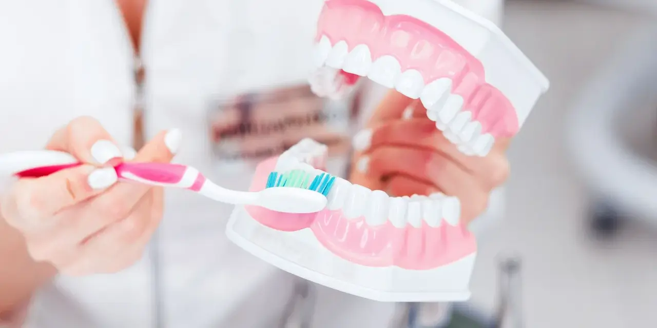 Dentyści pokazują na modelu, jak prawidłowo myć zęby, by uniknąć zbyt długiego mycia.