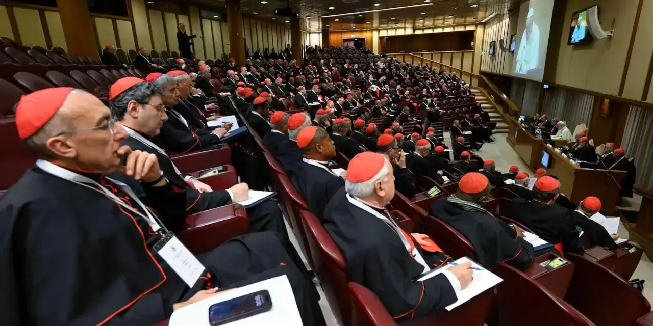 Wielu kardynałów w czerwonych biretach i czarnych szatach siedzi w amfiteatrze, słuchając przemówienia podczas ważnego konsystorza.