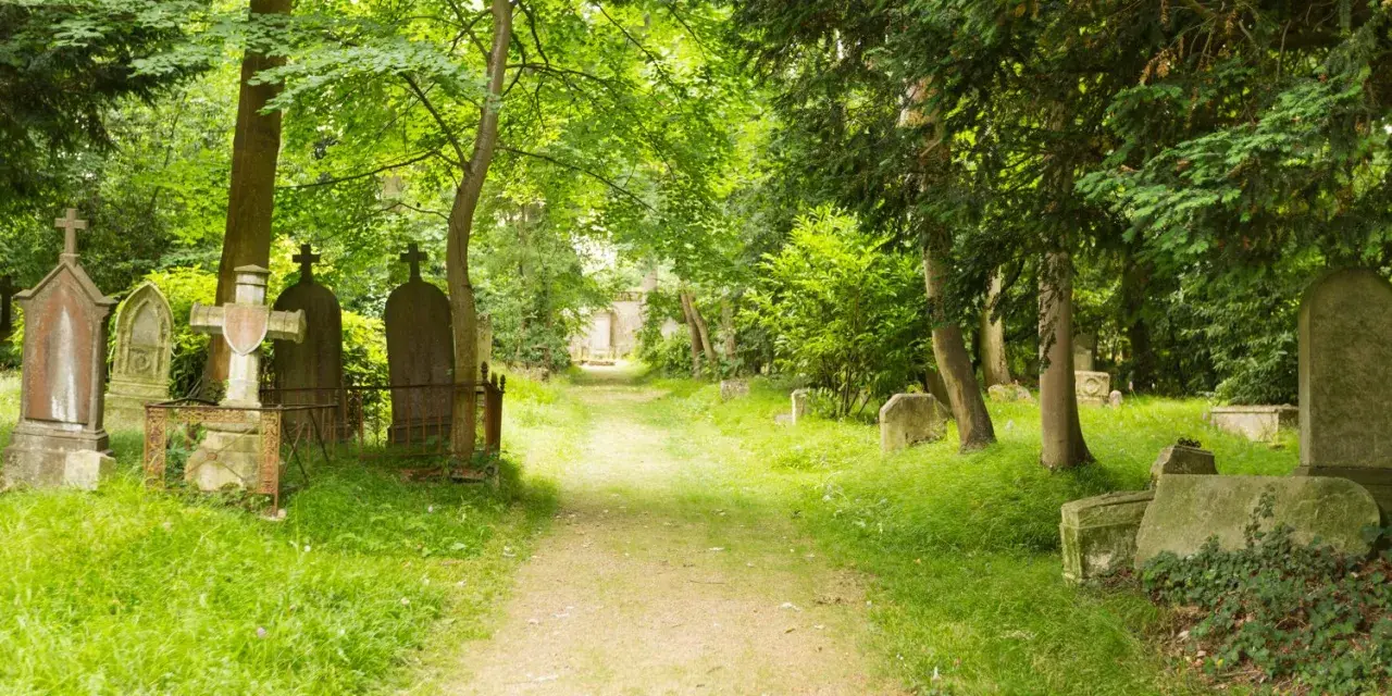 Sentier verdoyant menant à travers le cimetière dormant de Caen, bordé de tombes anciennes et d'arbres majestueux.