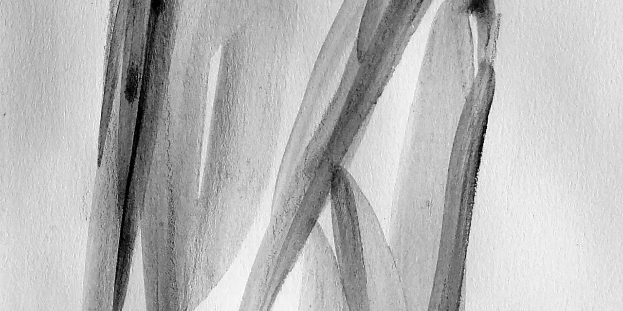 Abstraction en noir et blanc, évoquant la poudre de graphite utilisation dans une œuvre d'art fluide, appliquée à l'eau et au pinceau.