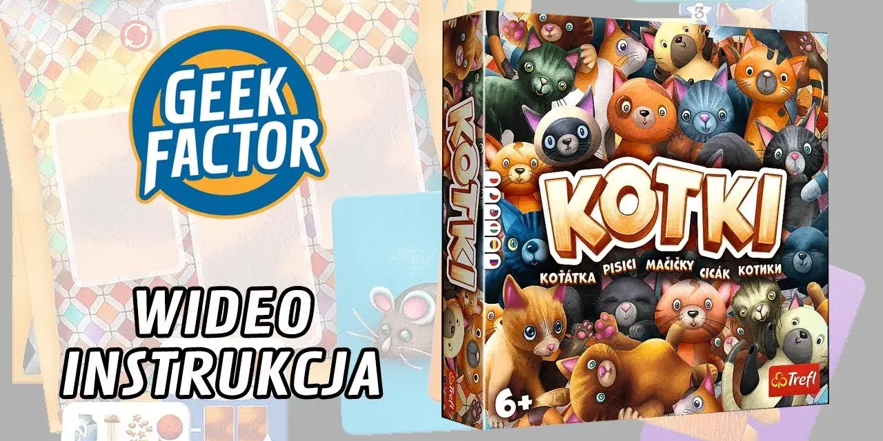 Jak grać w Kotki - Proste zasady i skuteczne strategie na start