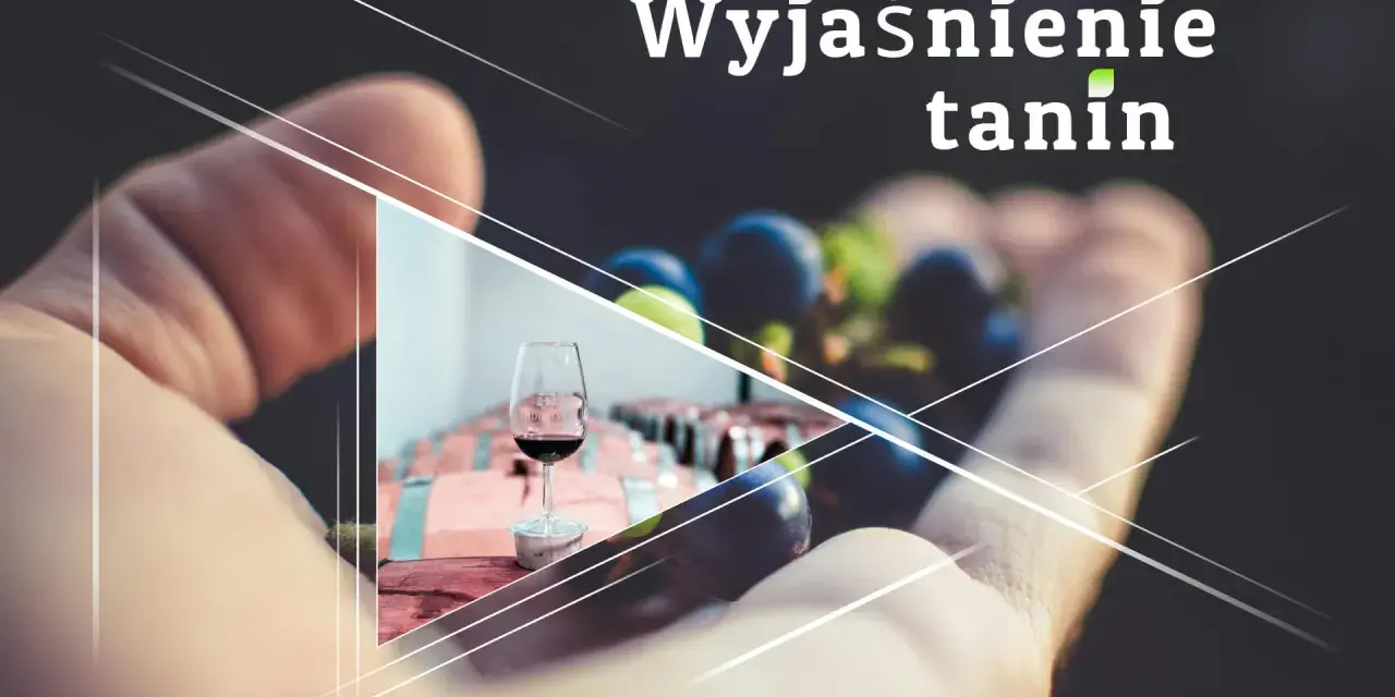 Wyjaśnienie tanin w winie. Kieliszek czerwonego wina, winogrona i beczki w tle.
