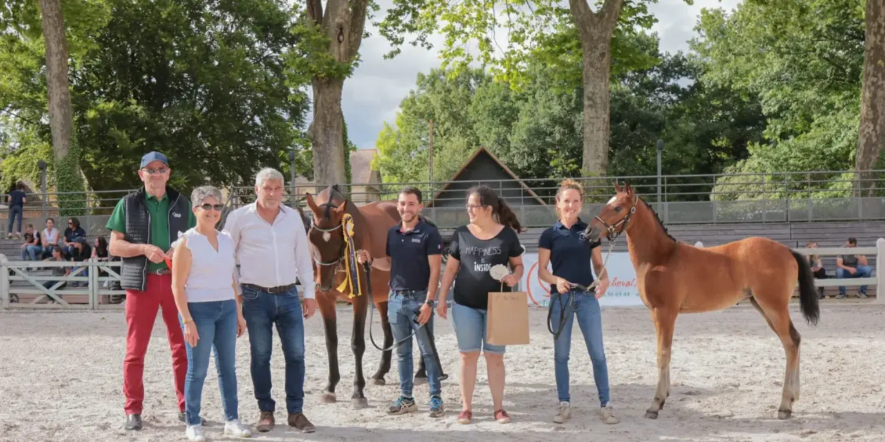 L'élevage de poney de sport présente ses jeunes champions. Une famille fière pose avec ses poulains primés.