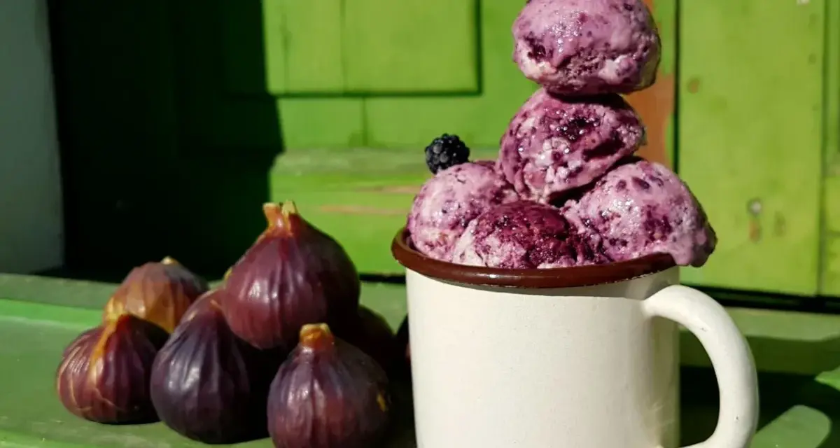 Eis aus gefrorenen Feigen, garniert mit Brombeeren, neben frischen Feigen. Ein leckeres Rezept für heiße Tage.