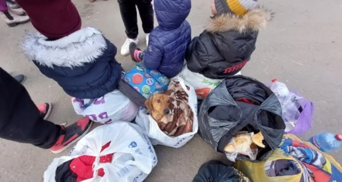 Czy mężczyźni mogą wyjechać z Ukrainy? Nowe zasady i zmiany w prawie