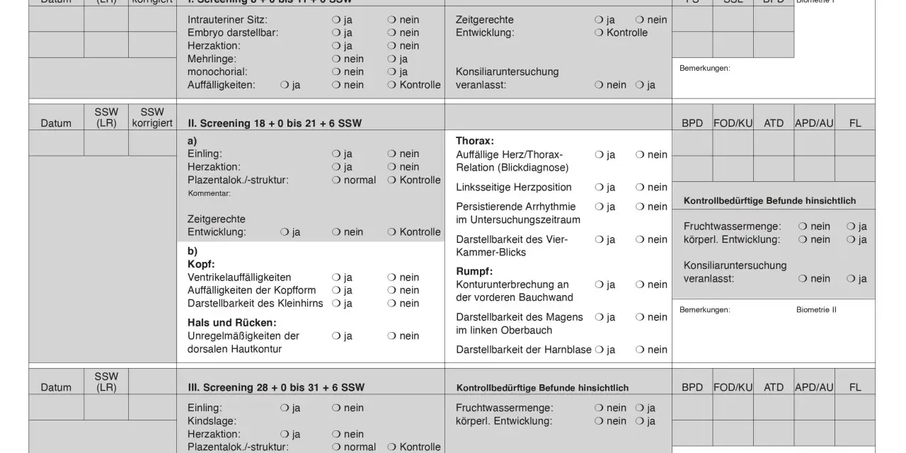 Ultraschalluntersuchungen im Mutterpass: Screening 1, 2 und 3 mit Details zu Herz, Kopf, Rumpf und Entwicklung.