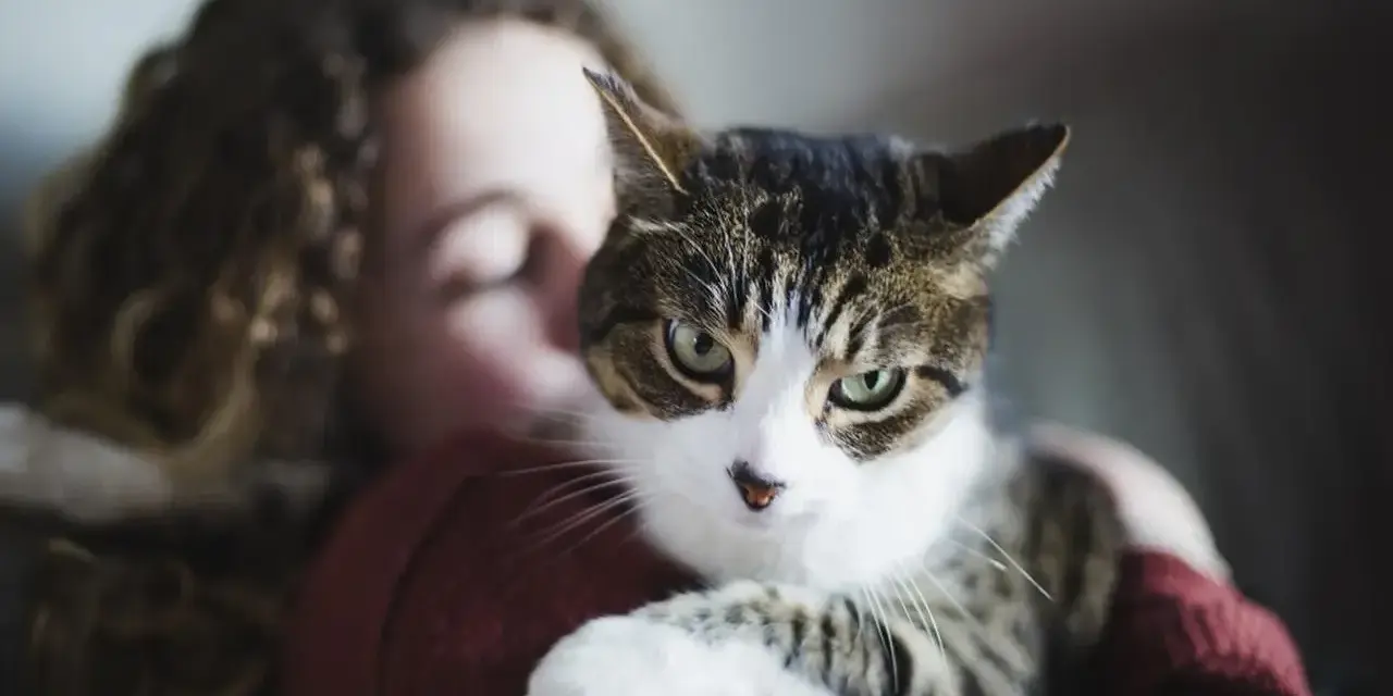 Kot w ramionach dziewczyny, czułe chwile felinoterapii.
