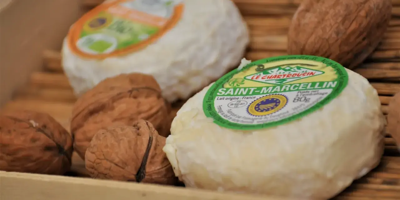 Fromages Saint-Marcellin et noix, parfaits pour une recette avec purée.
