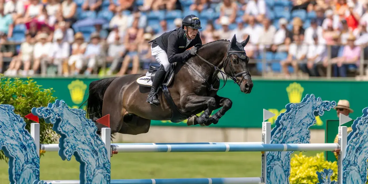 Cavalier en plein saut d'obstacles, le cheval est en l'air, le cavalier porte un casque noir. Le public est en arrière-plan.