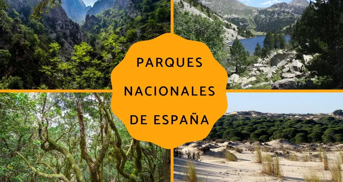 Montañas, bosques y dunas: así es un parque nacional en España, un tesoro natural para explorar.