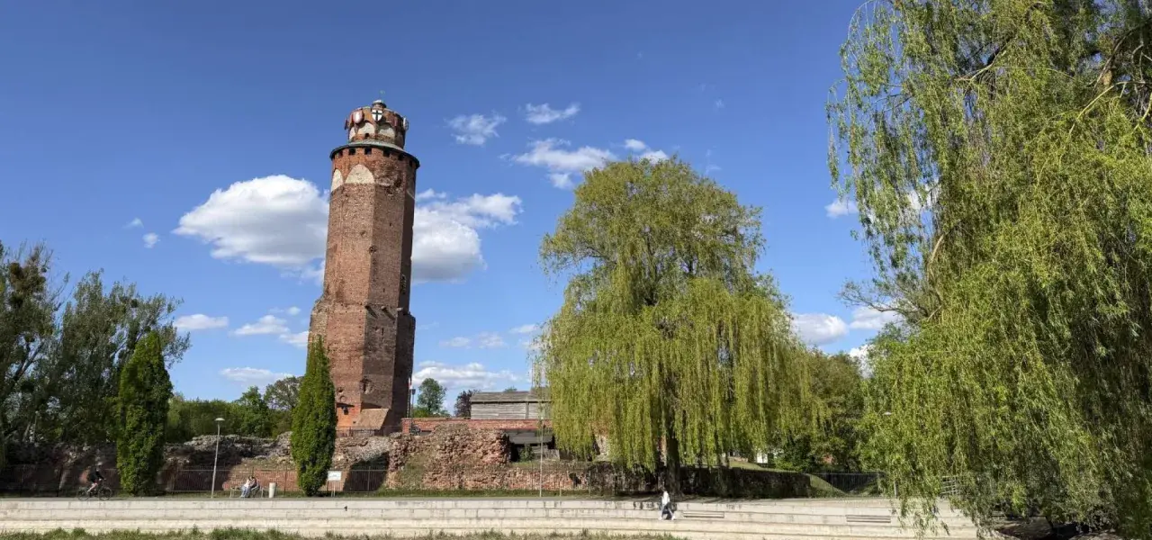 Wieża zamkowa w Brodnicy, otoczona zielenią, na tle błękitnego nieba z chmurami. Piękny dzień na Pojezierzu Brodnickim.