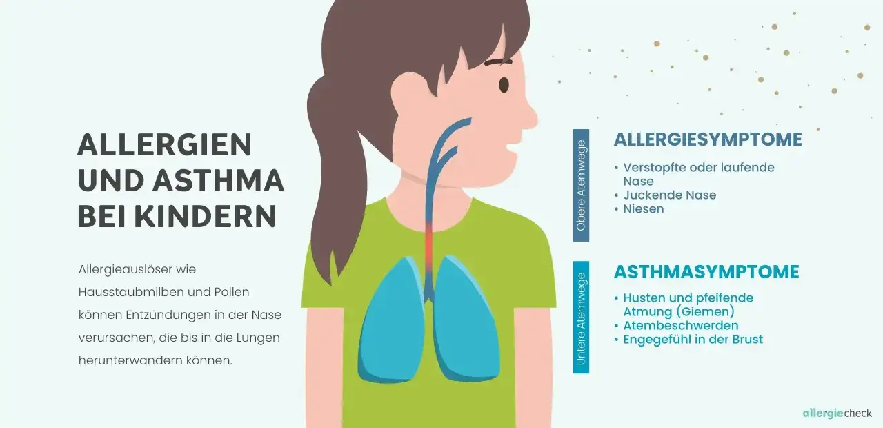 Illustration zeigt ein Kind mit Lungen und Atemwegen. Text erklärt Allergien und Asthma bei Kindern, Symptome wie Husten und Niesen.
