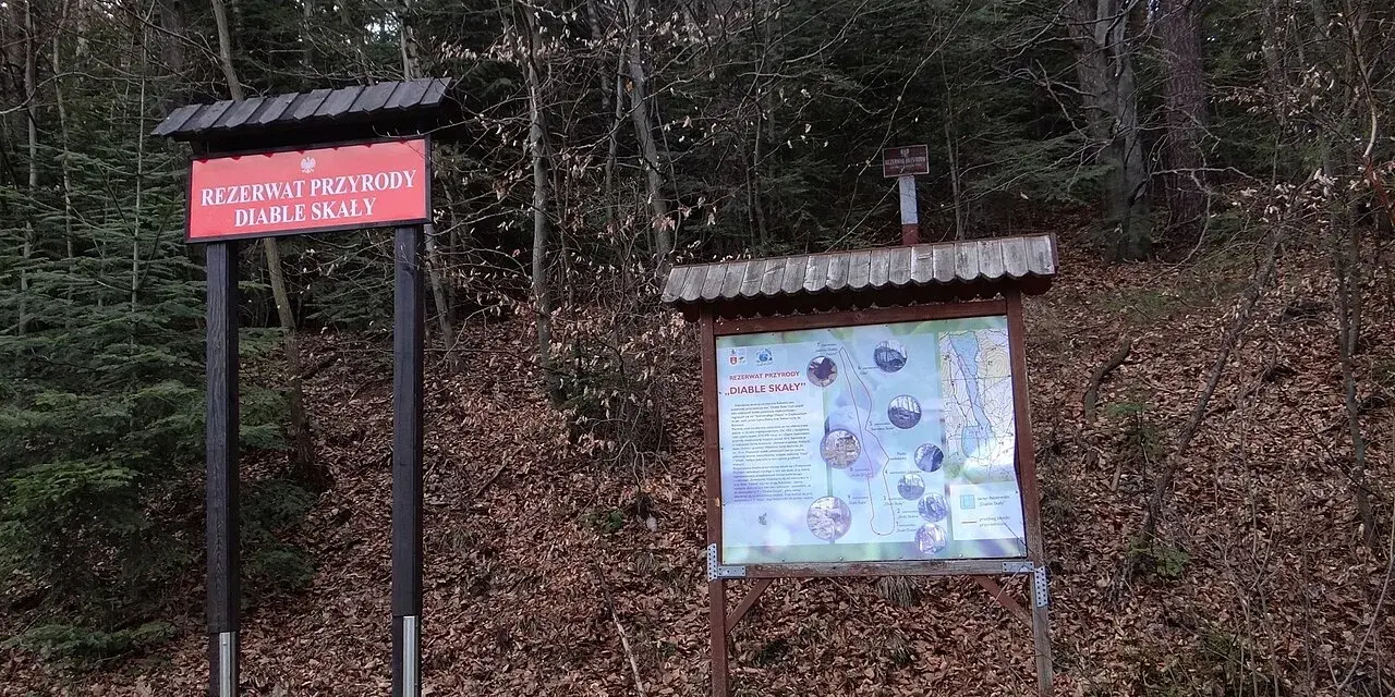 Tablica informacyjna w rezerwacie przyrody Diable Skały. Na tablicy mapa szlaków i opis atrakcji.