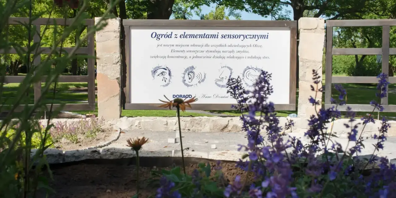 Jak stworzyć ogród sensoryczny dla dziecka? Praktyczny przewodnik