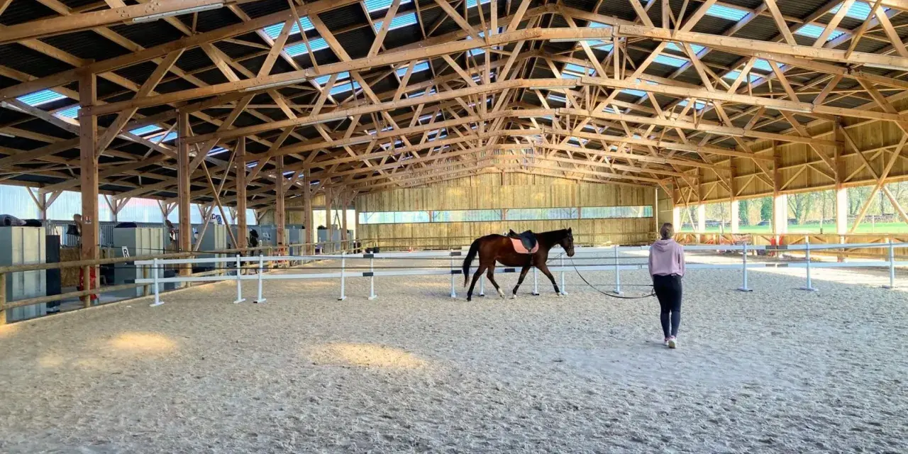 Cheval brun dans un manège d'équitation, guidé par une personne. La structure en bois du toit est visible.