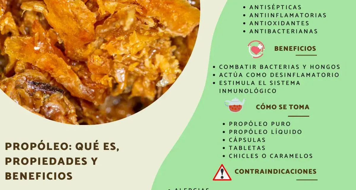 Propolis: qué es, sus propiedades antisépticas y beneficios para combatir bacterias. Se presenta en diversas formas.