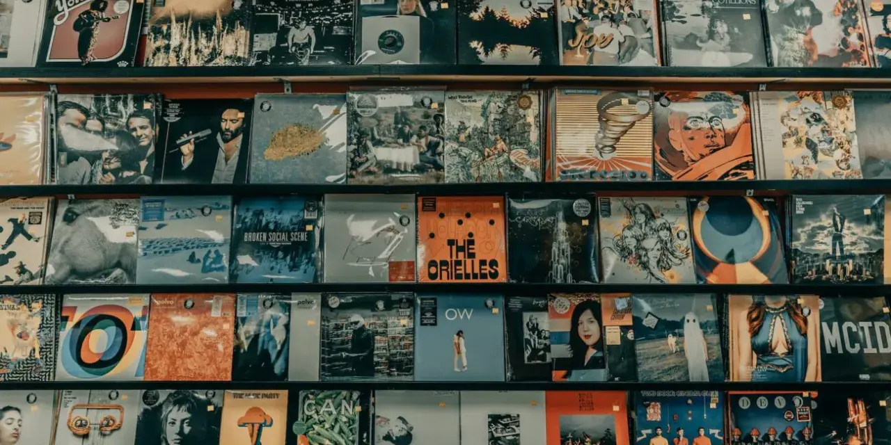 Regale voller Schallplatten, die zeigen, was sind Alben: Musik, Kunst und Erinnerungen.