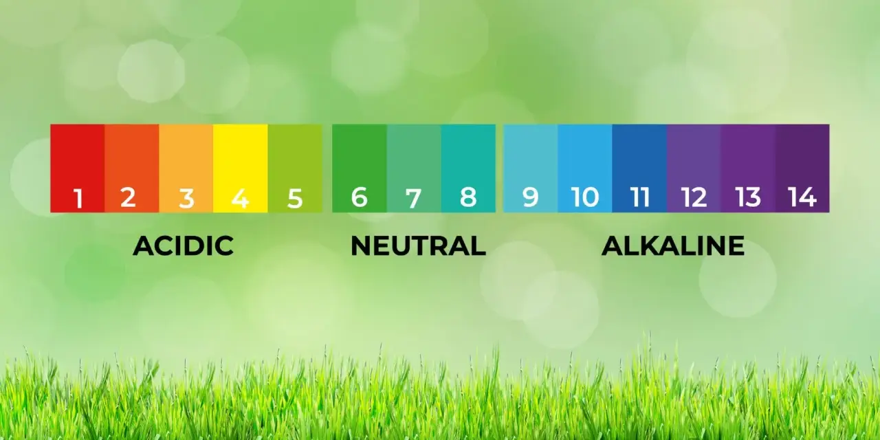 Scala pH: da rosso (acido) a viola (alcalino). Utile per capire come acidificare l'acqua per i trattamenti.