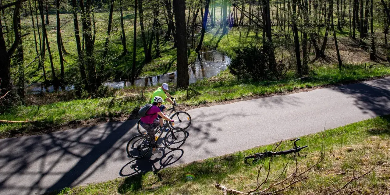 Dwie osoby na rowerach przemierzają malownicze bory tucholskie. Trasy rowerowe wiodą przez las, wzdłuż strumienia.