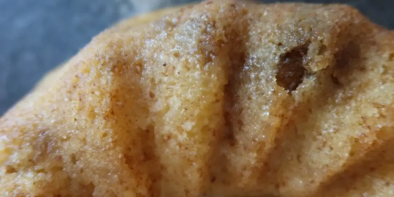 Närbild på en gyllene sockerkaka med kardemumma, med synliga små prickar av kryddan i den porösa kakan.
