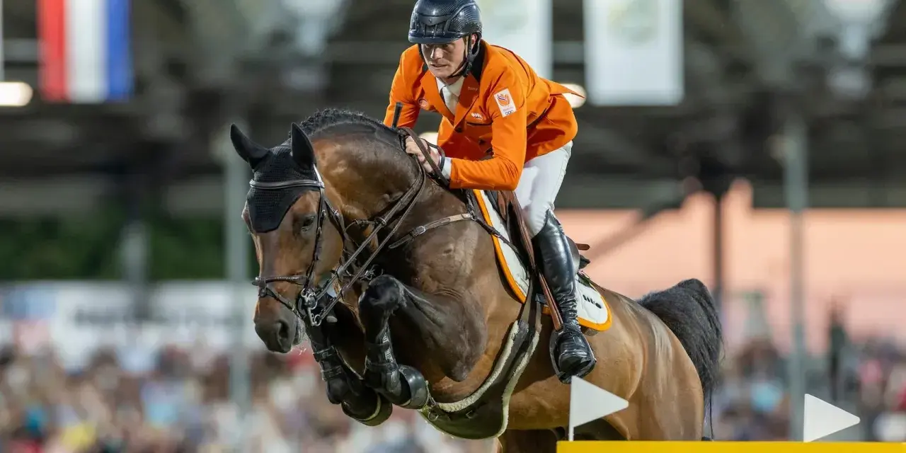 Cavalier néerlandais en tenue orange, en plein saut d'obstacles avec son cheval. Le **comthago vdl** semble prêt pour la victoire.