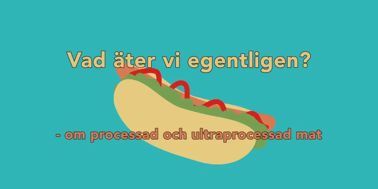 En illustration av en korv med bröd, med texten "Vad äter vi egentligen? - om processad och ultraprocessad mat".