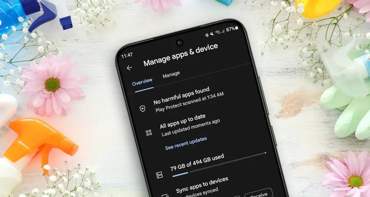 Handy Speicher voll: 79 GB von 494 GB belegt. Zeit für eine digitale Frühjahrsputz-Aktion mit Blumen und Reinigungsmitteln.