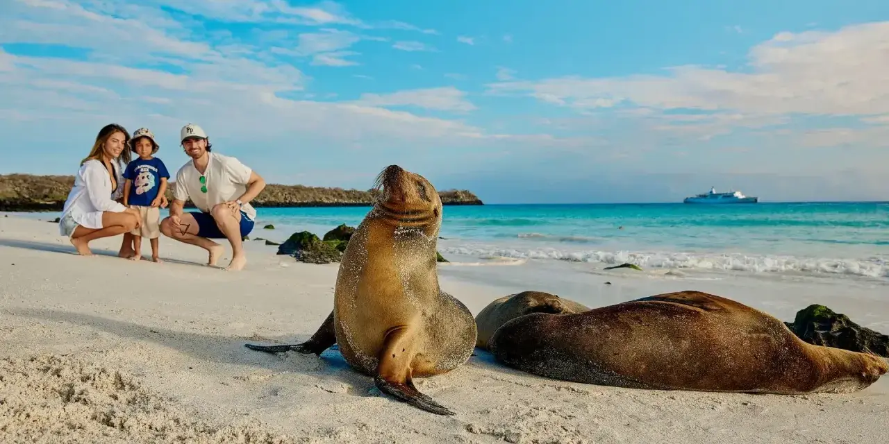 Rodzina na plaży na Galapagos, obok lwów morskich. W tle statek wycieczkowy.