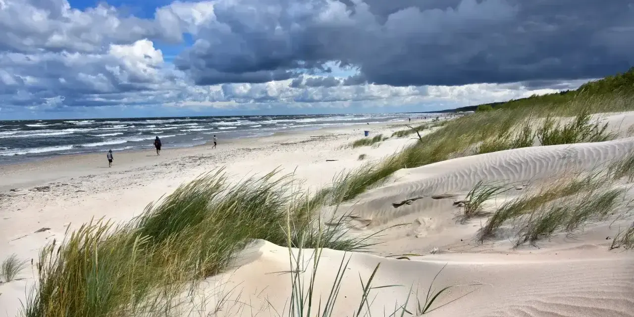 Piaszczyste wydmy porośnięte trawą morska, z widokiem na wzburzone morze i niebo z chmurami. Idealne kąpielisko na mierzei wiślanej.