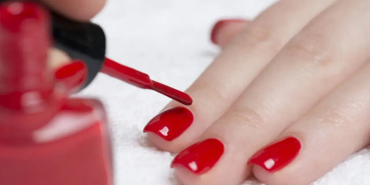 Dopo il primer unghie, si applica lo smalto rosso brillante. La mano è pronta per la manicure.