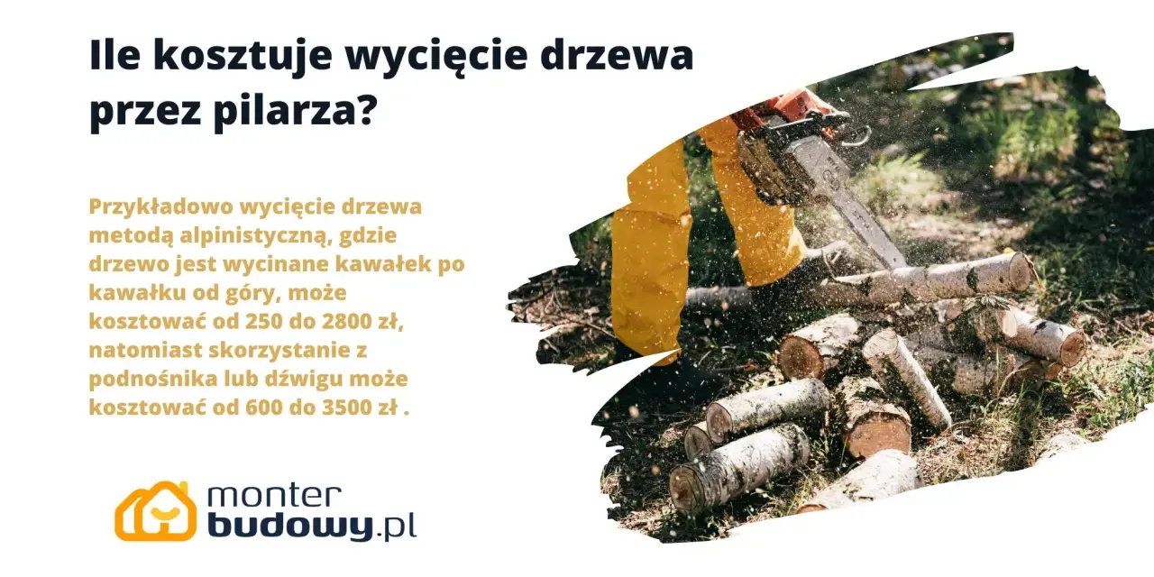 Drwal w żółtym ubraniu tnie piłą mechaniczną drewno na kawałki.