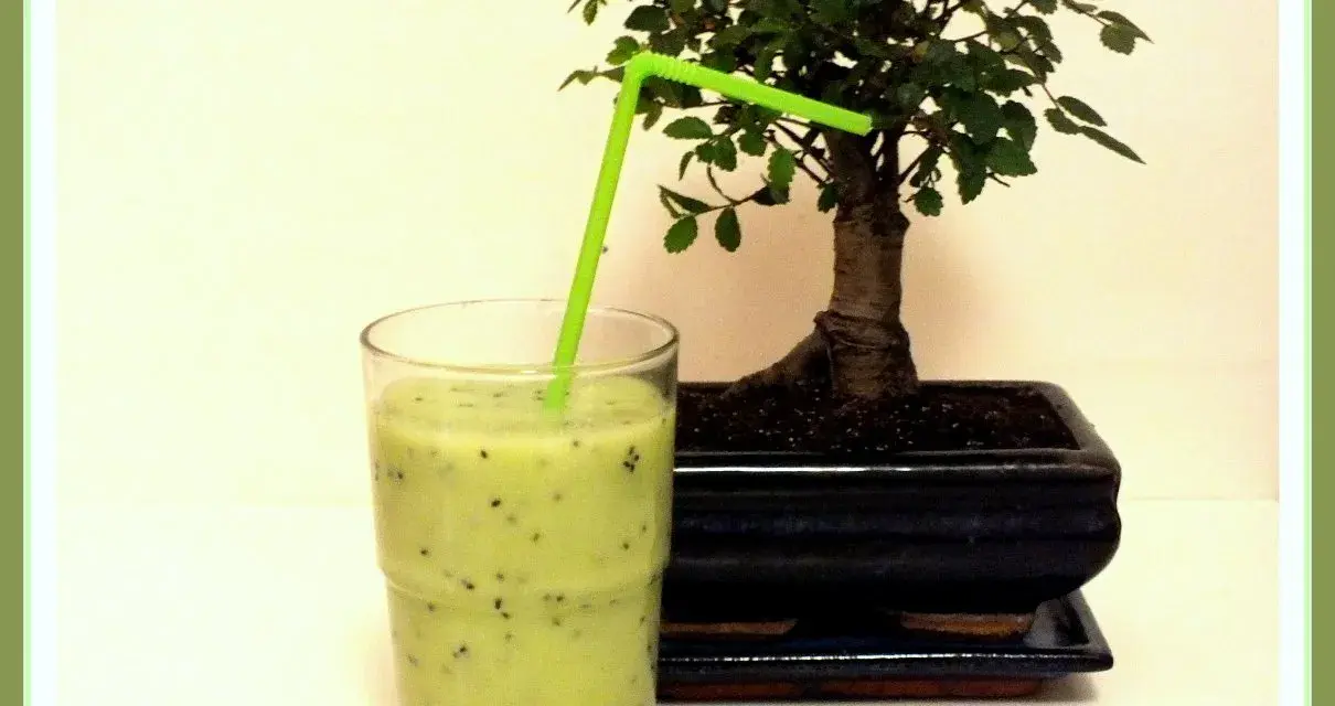 Orzeźwiający koktajl z kiwi i banana, z zieloną słomką, obok miniaturowego drzewka bonsai.