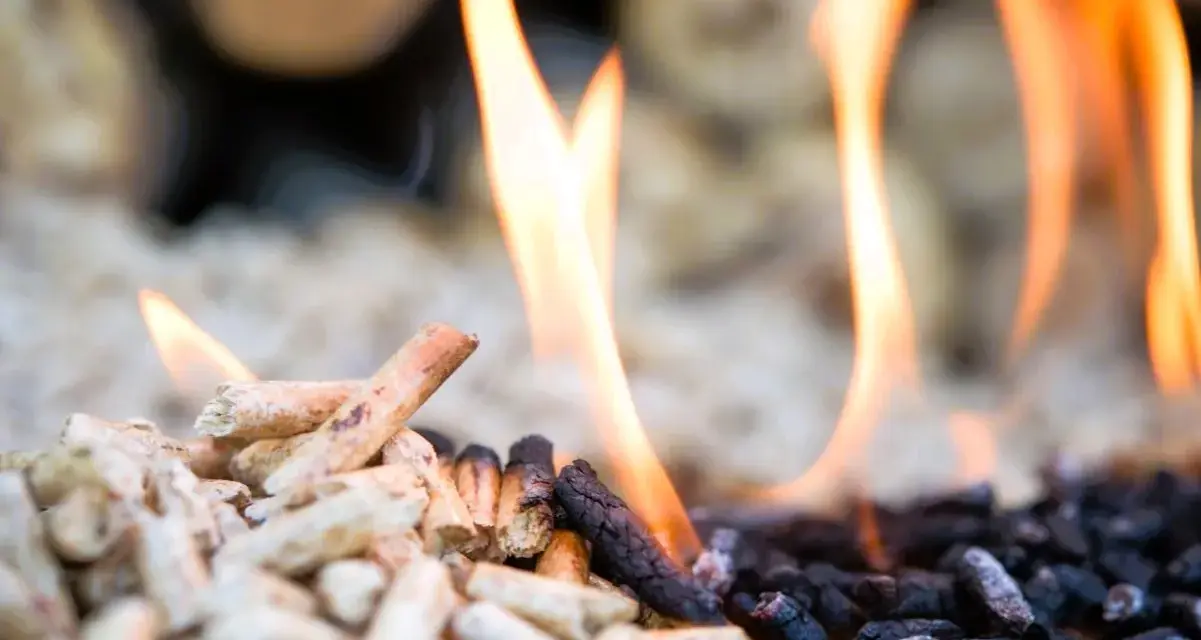 Fiamme danzano su pellet in combustione, un primo piano che mostra il passaggio dal legno chiaro alla cenere scura.