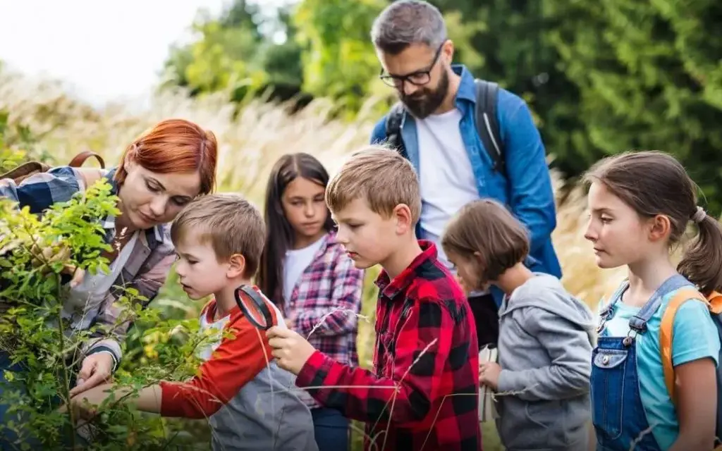 Ile zarabia wychowawca na kolonii? Zaskakujące różnice w wynagrodzeniu