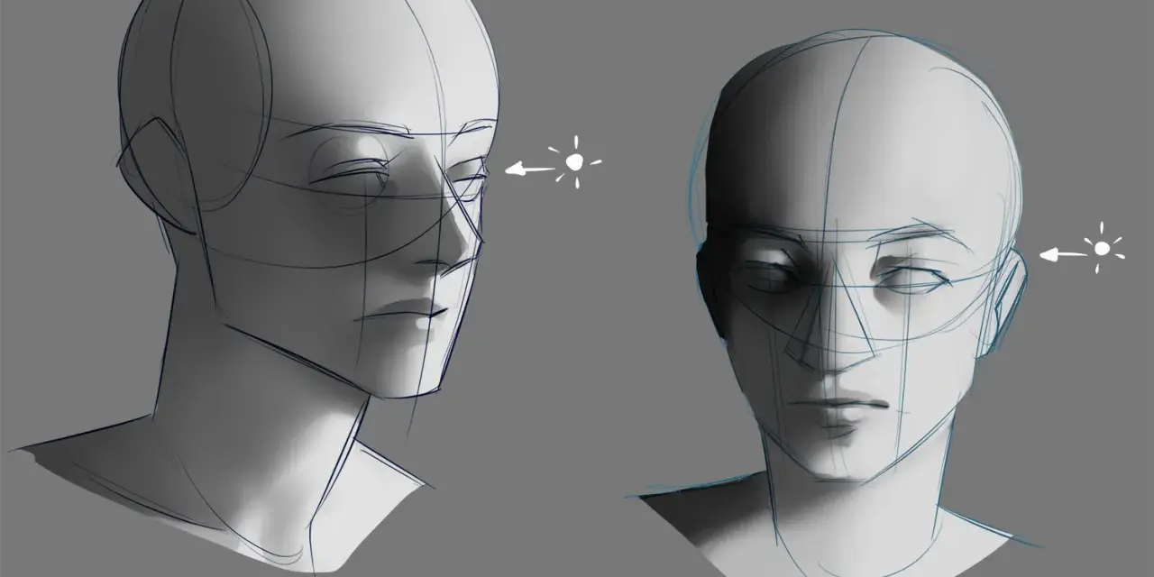 Deux études de têtes humaines en cours de dessin, montrant l'application de la lumière et de l'ombre pour créer du volume.
