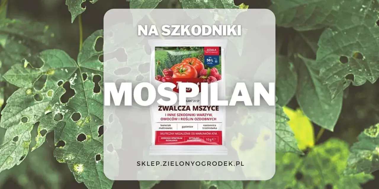 Opakowanie środka Mospilan na tle zielonych liści z dziurami.