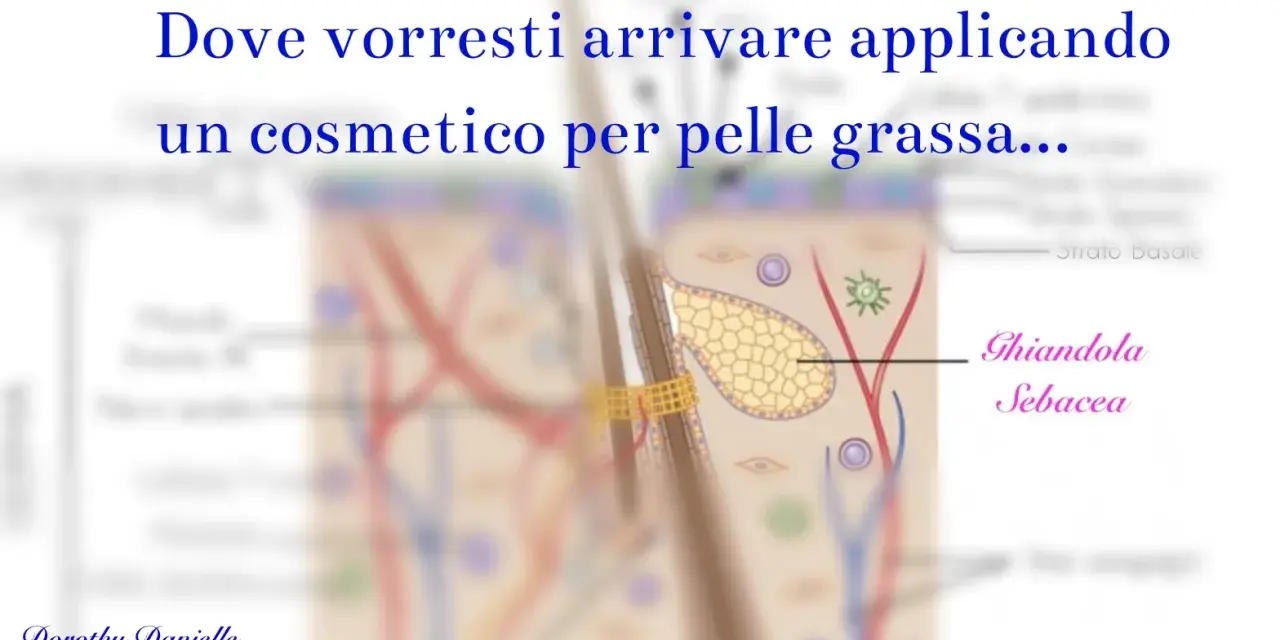 Illustrazione anatomica della pelle, con focus sulla ghiandola sebacea, per un efficace trattamento pelle grassa.
