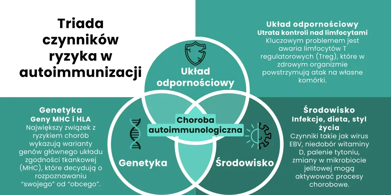 Diagram przedstawiający triady czynników ryzyka w autoimmunizacji: układ odpornościowy, genetyka i środowisko.