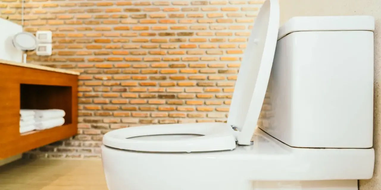 Biała miska WC z podniesioną deską, widoczna w łazience z ceglaną ścianą. Określenie jaka wysokość miski WC od podłogi jest kluczowa dla wygody.