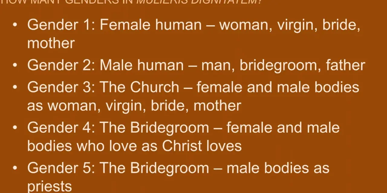 List of genders in Mulieris Dignitatem: Female human (woman, virgin, bride, mother), male human, the Church as bride, the Bridegroom, and male bodies as priests.