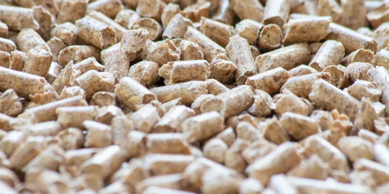 Un primo piano di pellet di legno, un combustibile ecologico. Cos'è il pellet? Piccoli cilindri di segatura compressa, ideali per stufe e camini.