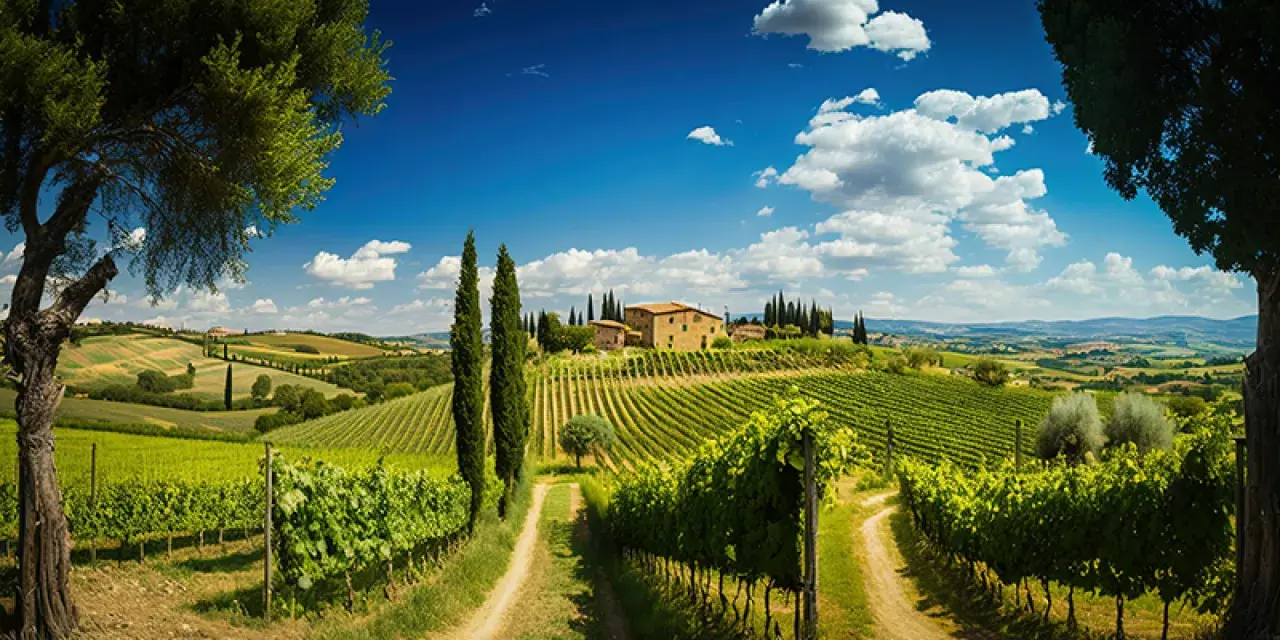 Un incantevole panorama toscano con vigneti rigogliosi, cipressi slanciati e una casa colonica in pietra. Un invito a una **ruta por la Toscana** indimenticabile.