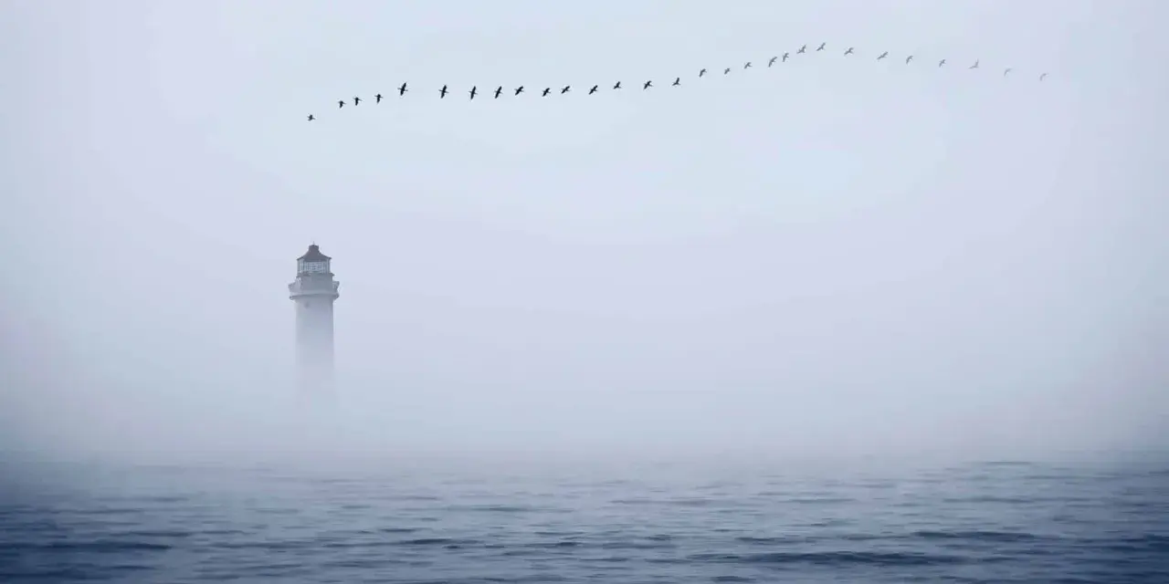 Ein Leuchtturm ragt aus dichtem Nebel, während eine Vogelschar über dem ruhigen Meerformationen zieht. Ein einsames Schiff im Nebel.