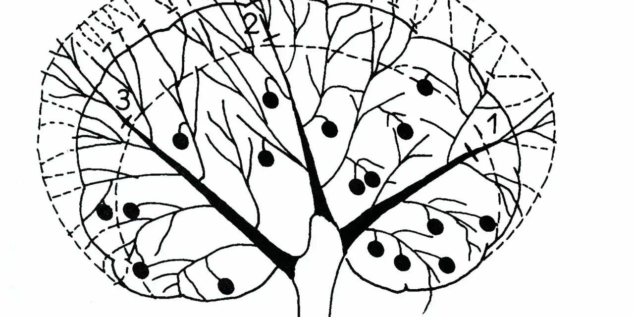 Schema di un albero di agrumi con frutti e indicazioni per la potatura. Il periodo ideale per la potatura agrumi è fondamentale per la salute della pianta.