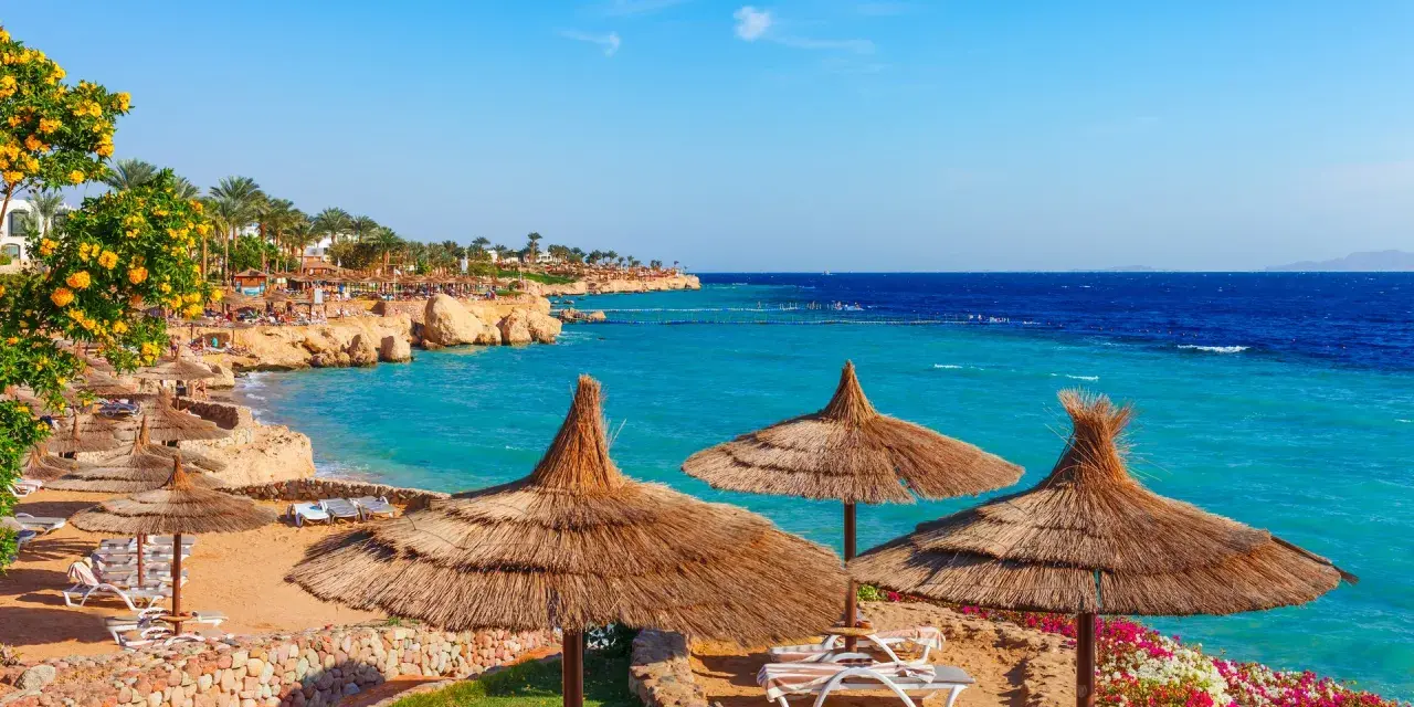 Piękna plaża w Sharm El Sheikh z turkusową wodą i palmami. Czy w Sharm el Sheikh jest bezpiecznie? Tak, to popularny kurort turystyczny.