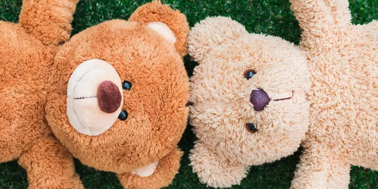 Dwa pluszowe misie leżą na trawie. Jeden brązowy, drugi beżowy. Idealni towarzysze na dzień misia.