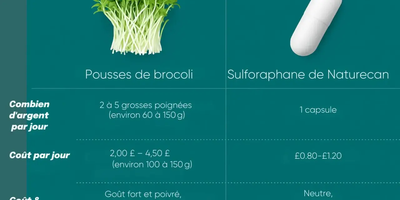 Pousses de brocoli et capsule de sulforaphane. Découvrez les graines germées brocoli bienfaits, coût et praticité comparés.