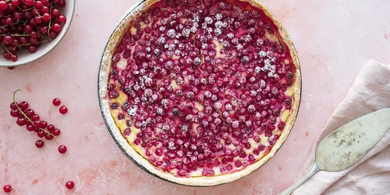 Saftiger Johannisbeerkuchen mit Schmand in einer Springform, bestäubt mit Puderzucker. Daneben eine Schale voller roter Johannisbeeren.