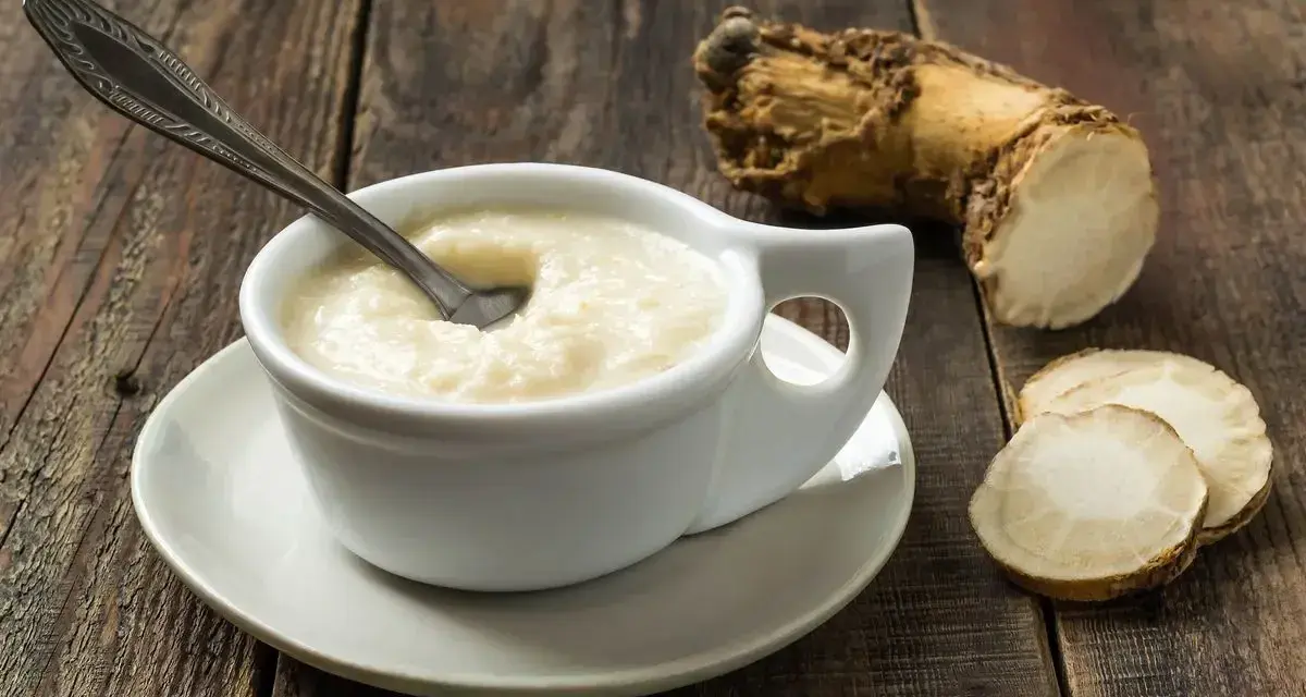 Crema di cren, piccante e saporita, accanto alla radice da cui deriva. Cos'è il cren? È rafano, una radice dal gusto deciso.